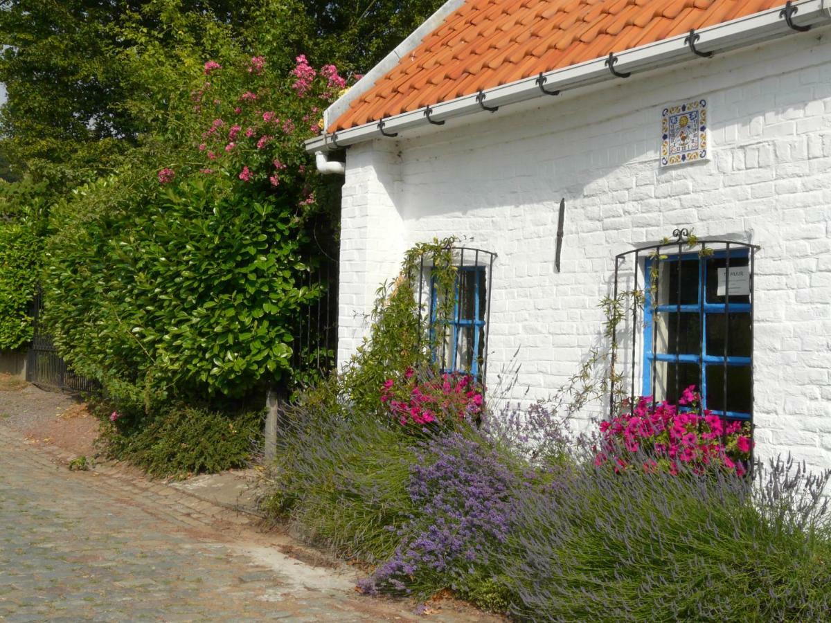 La Quitapenas Villa Ronse Bagian luar foto