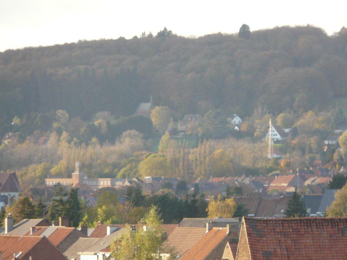 La Quitapenas Villa Ronse Bagian luar foto