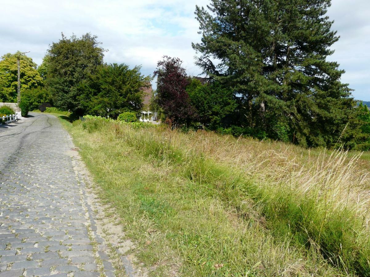La Quitapenas Villa Ronse Bagian luar foto
