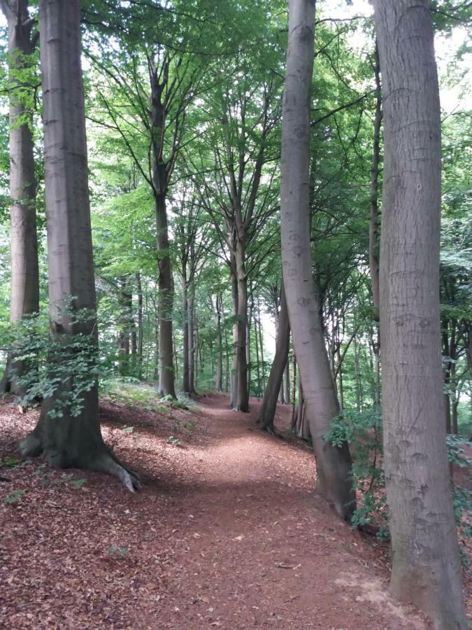 La Quitapenas Villa Ronse Bagian luar foto